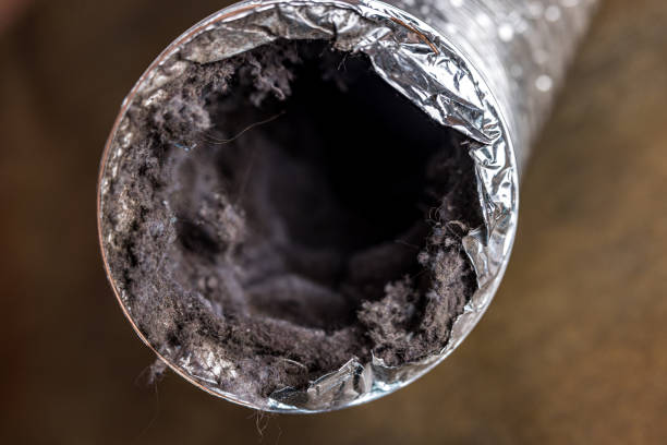 Best HVAC Maintenance and Cleaning  in Mountain Green, UT