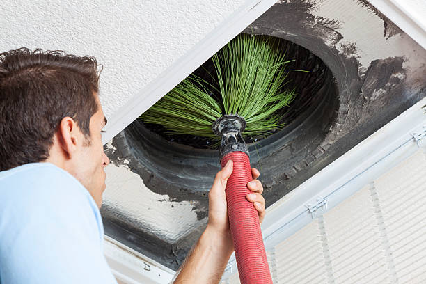 Best Dryer Vent Cleaning Services  in Mountain Green, UT